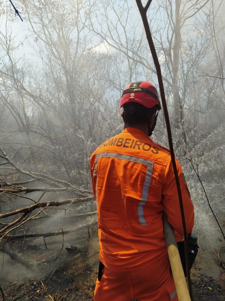 Corpo De Bombeiros Realizam Força Tarefa Para Combater Focos De Incêndios Em Cidades Do Piauí 4373