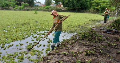 Com o início do período chuvoso na Capital do Piauí, a Prefeitura de Teresina por meio da Superintendência das Ações Administrativas Descentralizadas (SAAD Norte), decidiu intensificar a limpeza dos bueiros, galerias e lagoas da região.