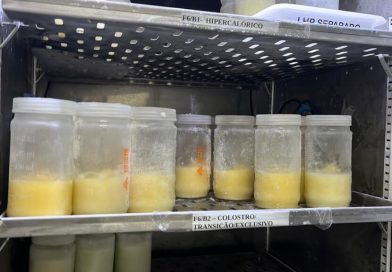 Nova Maternidade Evangelina Rosa intensifica campanha de doação de leite humano; saiba como doar