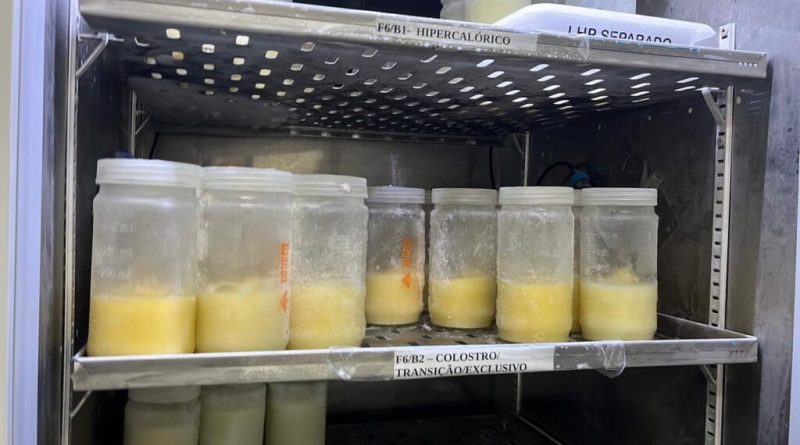 Nova Maternidade Evangelina Rosa intensifica campanha de doação de leite humano; saiba como doar