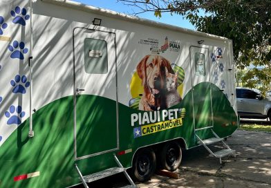 Castramóvel já realizou mais de 570 castrações em 2026 e chega a Campo Maior durante comemorações da Batalha do Jenipapo
