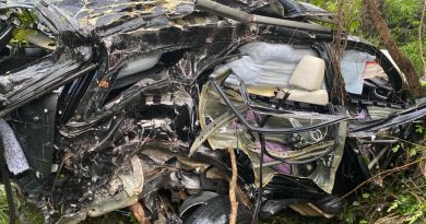 Empresário morre após carro colidir com árvore na BR-316 entre Caxias e Teresina