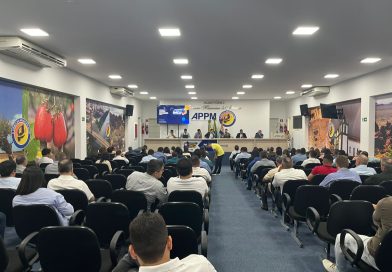 Prefeitos do Piauí aprovam teto de R$ 350 mil para contratação de shows