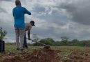 Piauí volta a registrar áreas livres da seca após quase dois anos e 54 municípios saem da estiagem