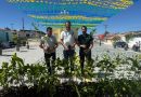 Secretária do Meio Ambiente distribui 9 mil mudas frutíferas e nativas em quatro municípios piauienses