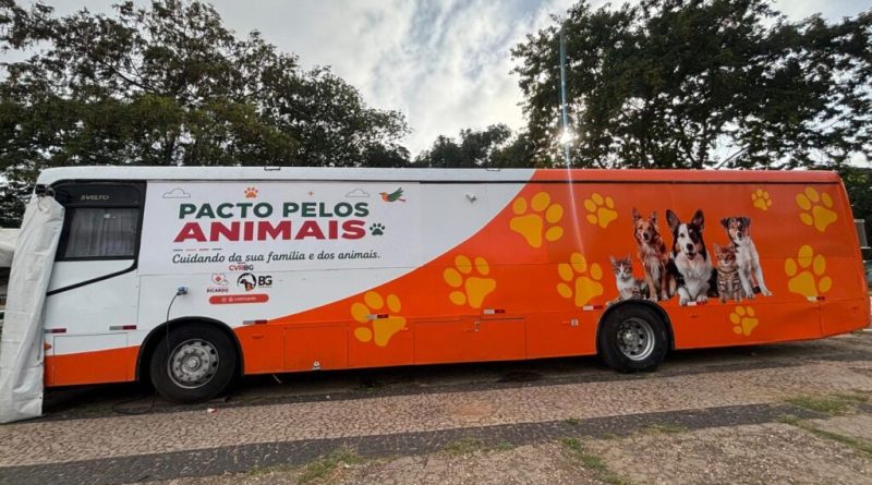 Busão da Castração chega à zona leste de Teresina para realizar cerca de 900 procedimentos a partir desta quarta (1º)