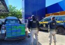 PRF apreende 135 kg de cocaína escondidos em picape durante fiscalização na BR-402 em Parnaíba