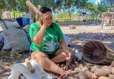 Lei federal reconhece ofício das quebradeiras de coco babaçu como patrimônio cultural nacional e fortalece tradição no Piauí