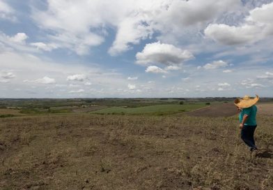 Monitor aponta fim da seca grave e extrema no Piauí após período chuvoso