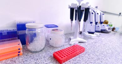TJPI abre inscrições para projeto que oferece exames de DNA gratuitos e reconhecimento de paternidade