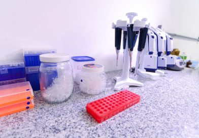 TJPI abre inscrições para projeto que oferece exames de DNA gratuitos e reconhecimento de paternidade