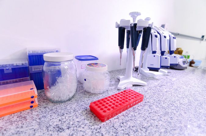 TJPI abre inscrições para projeto que oferece exames de DNA gratuitos e reconhecimento de paternidade
