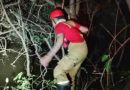 Mulher desaparece após carro capotar em manguezal no litoral do Piauí; homem morre no acidente