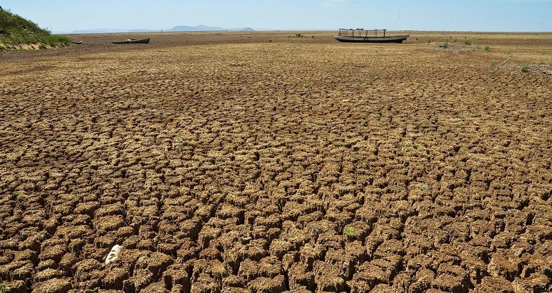 Piauí cria reserva de R$ 89,5 milhões para enfrentar desastres climáticos e crises hídricas