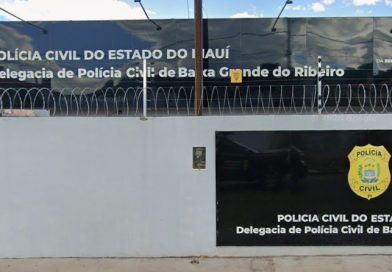 Tutor de cavalo é indiciado por morte de motociclista após animal provocar acidente no Sul do Piauí