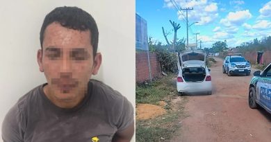 Homem acusado de roubar carro acaba preso após ser atacado por enxame de abelhas