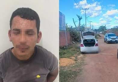 Homem acusado de roubar carro acaba preso após ser atacado por enxame de abelhas