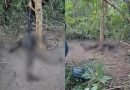 Corpo em avançado estado de decomposição é encontrado em área de mata na zona rural de Curralinhos