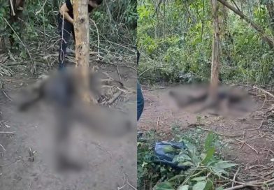 Corpo em avançado estado de decomposição é encontrado em área de mata na zona rural de Curralinhos