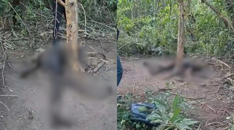 Corpo em avançado estado de decomposição é encontrado em área de mata na zona rural de Curralinhos