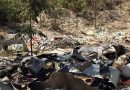 Operação resgata 35 trabalhadores em condições análogas à escravidão em fazenda no Sul do Piauí