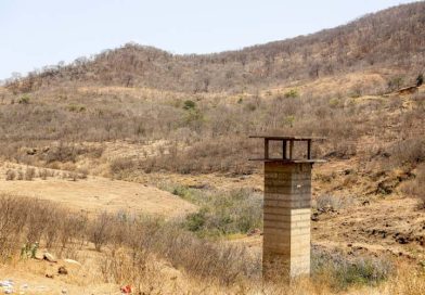 Piauí tem 117 municípios em situação de emergência por causa da seca