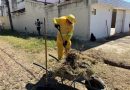 Mutirão de limpeza contra dengue chega ao bairro Pio XII neste sábado (8)