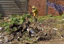 Parque Ideal recebe equipes da Zoonose e SDU no combate ao mosquito da dengue neste sábado (22)