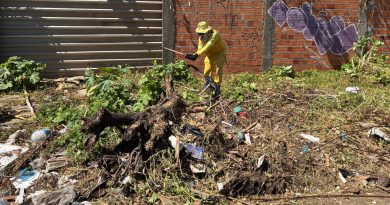 Parque Ideal recebe equipes da Zoonose e SDU no combate ao mosquito da dengue neste sábado (22)