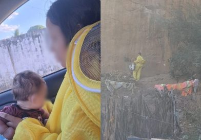Cadela morre após ataque de enxame de abelhas; mãe e recém-nascido são resgatados em Oeiras
