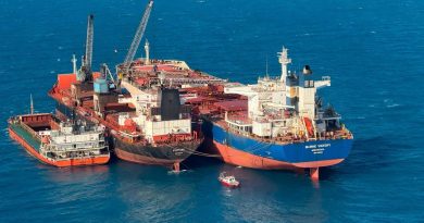 Porto Piauí inicia carregamento de minério de ferro com destino à China