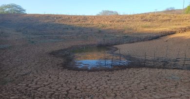 Cinco cidades do Piauí entram em situação de emergência devido à seca
