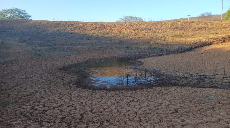Cinco cidades do Piauí entram em situação de emergência devido à seca