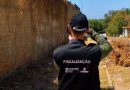 B-R-O-BRÓ: SDU intensifica fiscalização contra queimadas em terrenos baldios