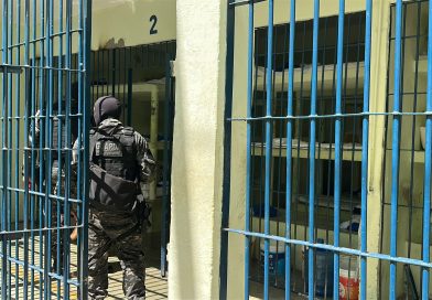 Mais de 14 kg de maconha são apreendidos em transportadora na zona Sul de Teresina