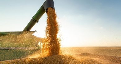 Exportações do Piauí crescem 46,2% e chegam a US$ 199 milhões em agosto