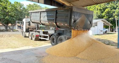 PRF apreende cerca de 500 kg de cocaína escondidos em carreta com 60 toneladas de milho em Teresina