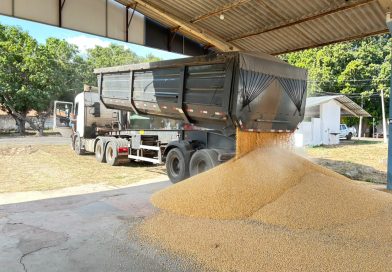 PRF apreende cerca de 500 kg de cocaína escondidos em carreta com 60 toneladas de milho em Teresina