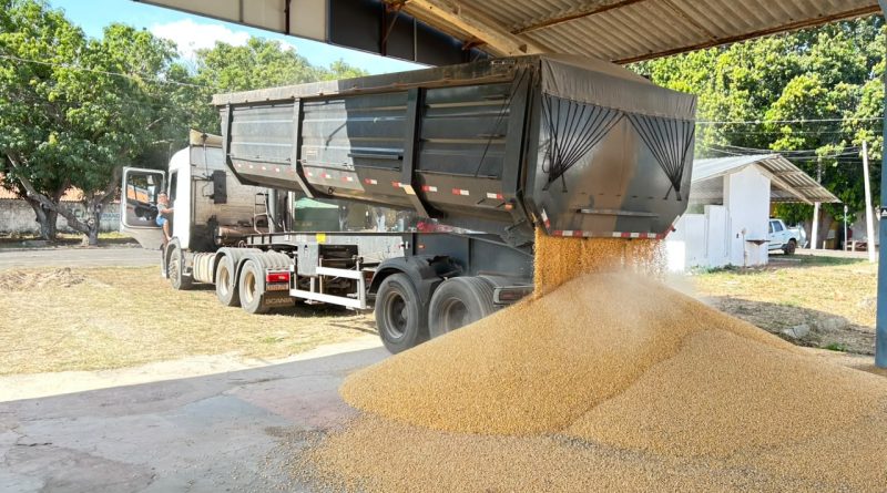 PRF apreende cerca de 500 kg de cocaína escondidos em carreta com 60 toneladas de milho em Teresina