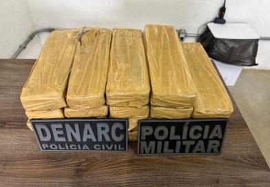 Mais de 14 kg de maconha são apreendidos em transportadora na zona Sul de Teresina