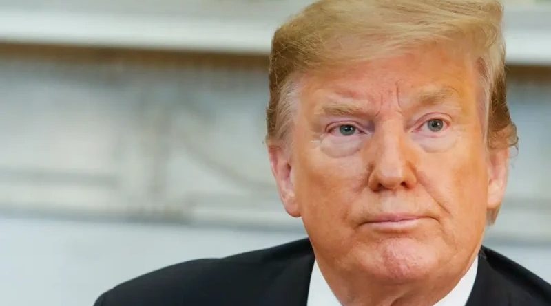 Trump elogia rapidez da apuração no Brasil e volta a criticar sistema eleitoral dos EUA