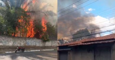 Incêndio de grandes proporções atinge Jardim Botânico e assusta moradores em Teresina