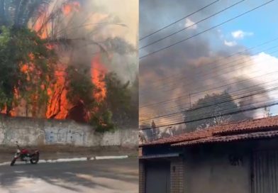 Incêndio de grandes proporções atinge Jardim Botânico e assusta moradores em Teresina