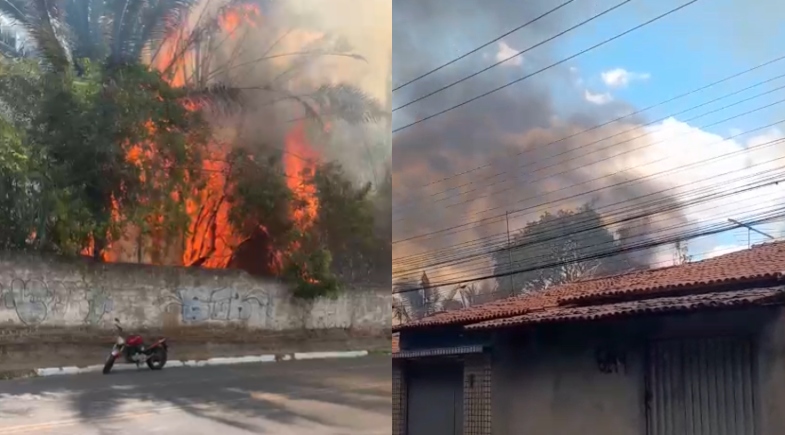 Incêndio de grandes proporções atinge Jardim Botânico e assusta moradores em Teresina