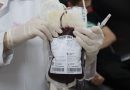 Hemopi registra aumento nas doações de sangue e mantém unidades abertas durante feriado de Finados; saiba como doar
