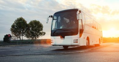 Transporte intermunicipal gratuito para eleitores no Piauí estará disponível das 0h de sexta (23) às 12h de segunda (26)