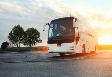 Transporte intermunicipal gratuito para eleitores no Piauí estará disponível das 0h de sexta (23) às 12h de segunda (26)
