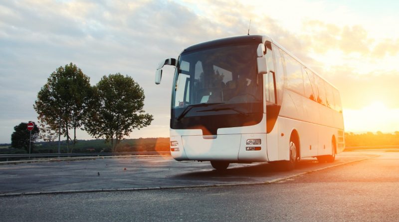 Transporte intermunicipal gratuito para eleitores no Piauí estará disponível das 0h de sexta (23) às 12h de segunda (26)