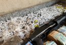 Operação prende oito pessoas e apreende drogas e armas em Barras